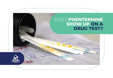 Does Phentermine Show on Drug Test: A Comprehensive Exploration of Its Detection and Implications